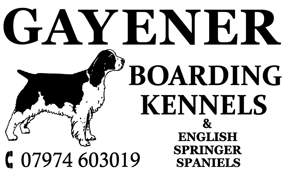 Gayener Boarding Kennels & English Springer Spaniels 2