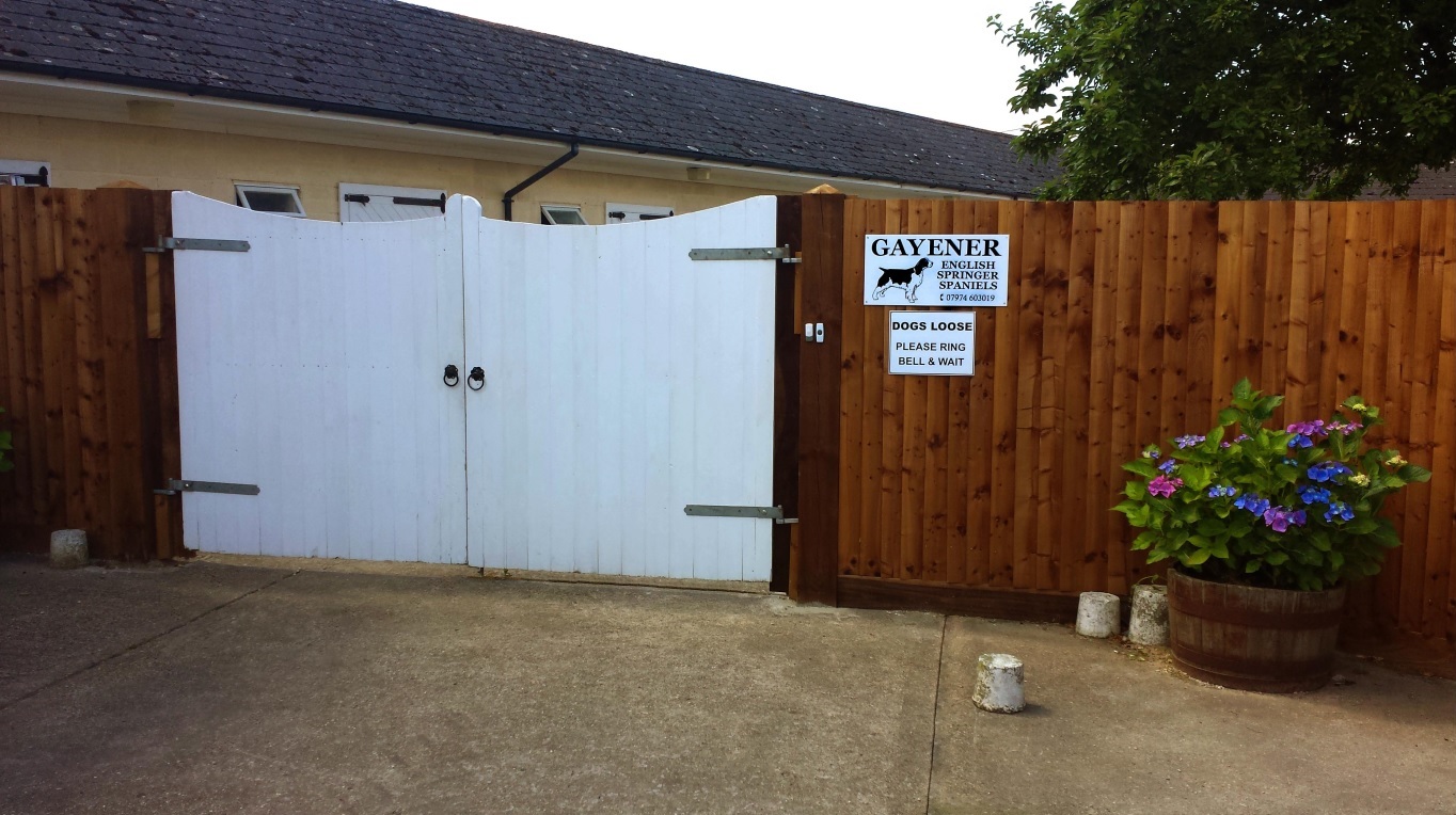 Dog Boarding Kennels Essex Home Pet Essex Dogs Kennel Pooch Braintree Colchester Chelmsford Witham Gt Leighs Coggeshall Felsted Great Dunmow CM6 CM77 CM 